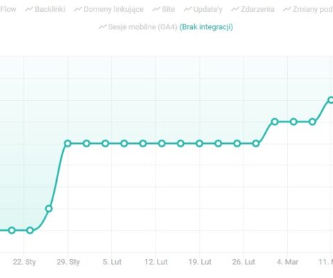 efekt działań 3 miesieczne seo