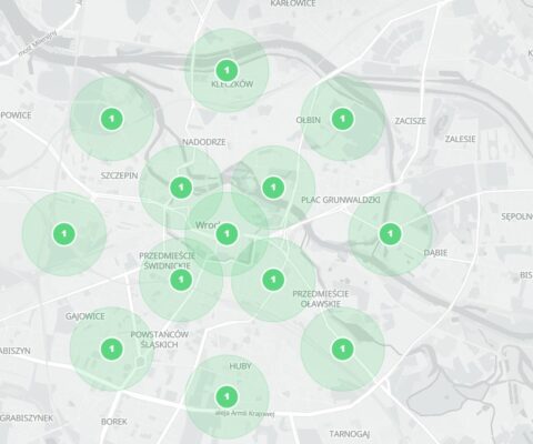 mapy google widoczne rezultaty seo top1