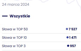 przed współpracą seo